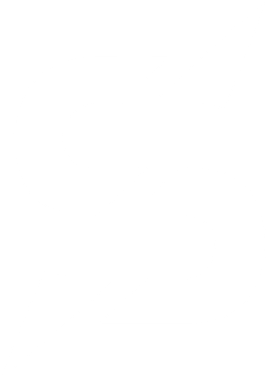 Solent Demo login logo
